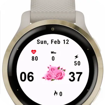 Rosas Garmin watch face preview