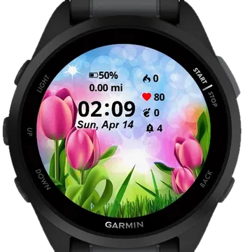 Roses Flowers Garmin watch face preview