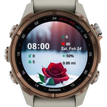 Roses In Snow Garmin watch face preview