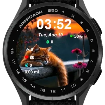 Sad Cat Garmin watch face preview