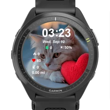 Sad Cat Garmin watch face preview