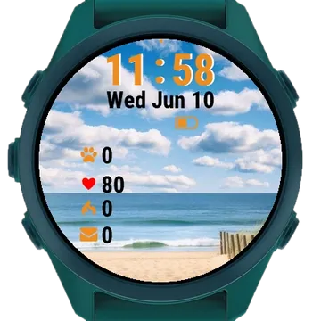 Sand Dunes Grass Fore Garmin watch face preview