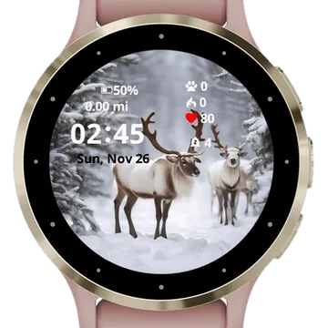 Santa Reindeer in the Winter White Garmin watch face preview