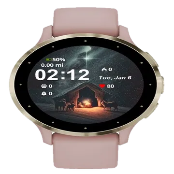Scene Winter Garmin watch face preview