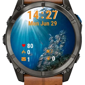 School Fish Swimming Garmin watch face preview