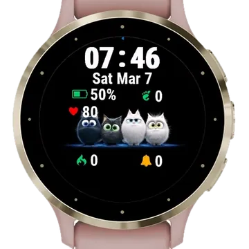 Secret Room Garmin watch face preview