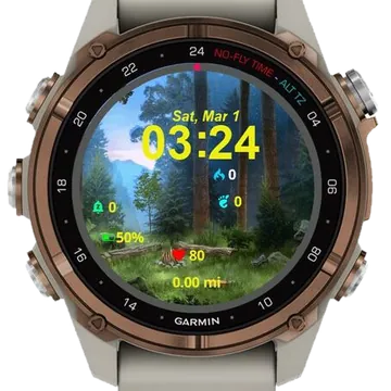 Silent Forest Retreat Garmin watch face preview