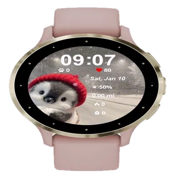 Small Bird Wearing Red Hat Garmin watch face preview