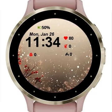 Snow Red Berries Garmin watch face preview