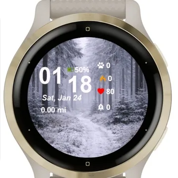 Snowy Forest Path Garmin watch face preview