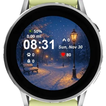 Snowy Night Park Garmin watch face preview