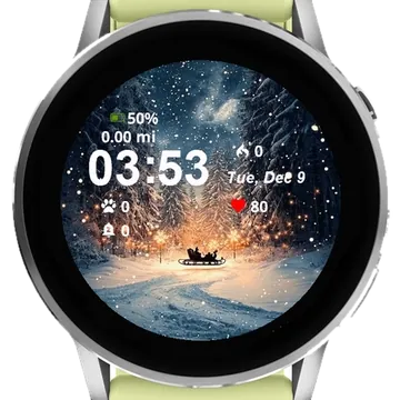Snowy Night Sler Full Moon Garmin watch face preview