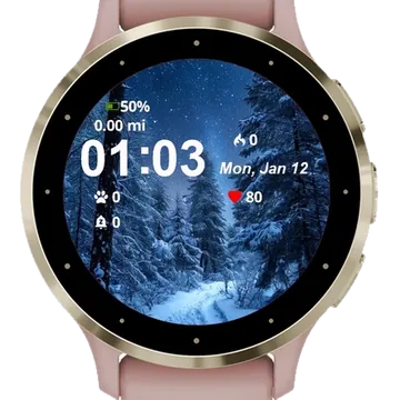Snowy Path Garmin watch face preview