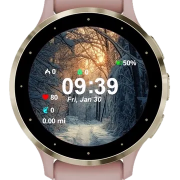 Snowy Path Woods Sun Shining Garmin watch face preview