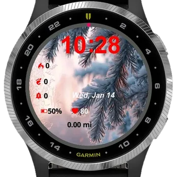 Snowy Tree Branch Garmin watch face preview