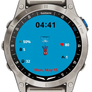 Spider Garmin watch face preview