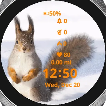 Squirrel Winter Garmin watch face preview