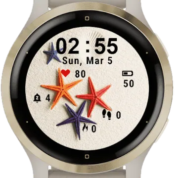 Star Beach Garmin watch face preview