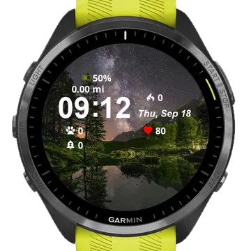 Starlit Wilderness Garmin watch face preview