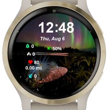 Starry Night Sky Aurora Lights Sea Garmin watch face preview