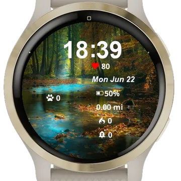 Stream Forest Leaves Ground Garmin watch face preview