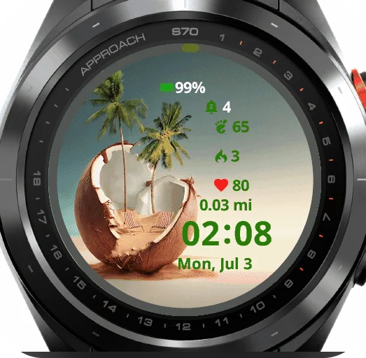 Summer Garmin watch face preview