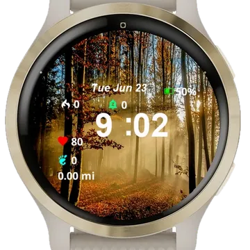 Sun Shining Through Trees Woods Garmin watch face preview