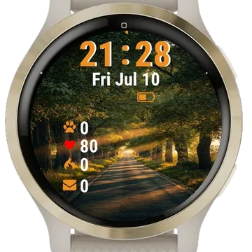 Sunlight Shines Through Trees Garmin watch face preview