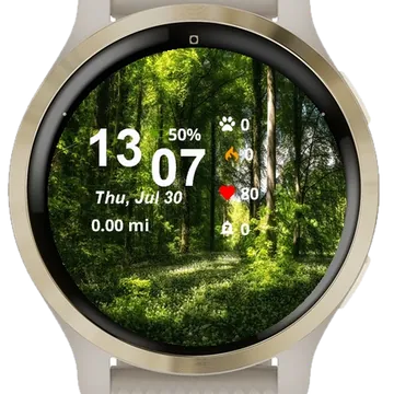 Sunlight Shining Through Trees Garmin watch face preview