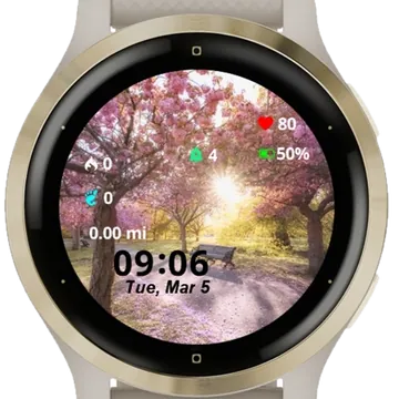 Sunny day Garmin watch face preview