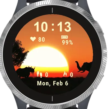 Sunset Savannah Garmin watch face preview