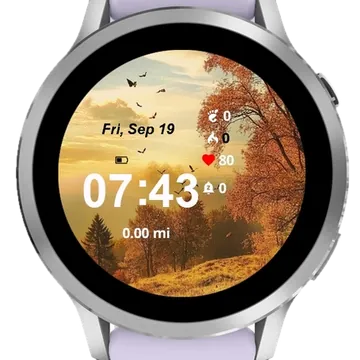 Sunset Serenity Garmin watch face preview