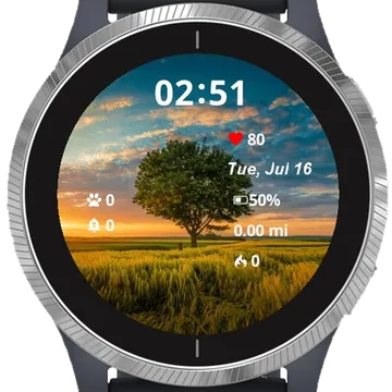 Sunset Surrounded by Grass Garmin watch face preview
