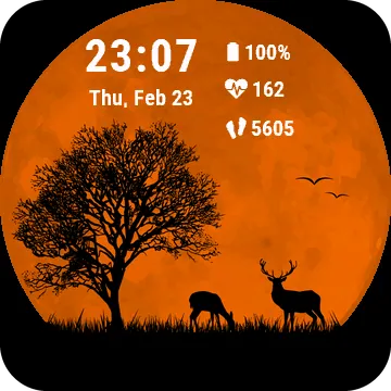 SunsetSavannah Garmin watch face preview