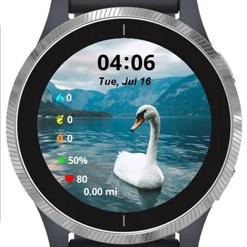 Swan Swimming Garmin watch face preview