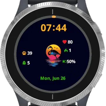 Swan Garmin watch face preview