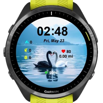 Swans in Love Garmin watch face preview