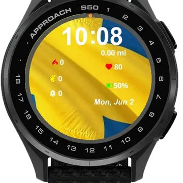 Sweden Garmin watch face preview