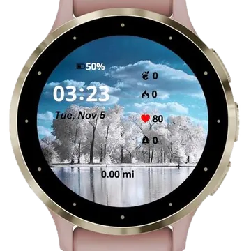 Taste of Winter Garmin watch face preview