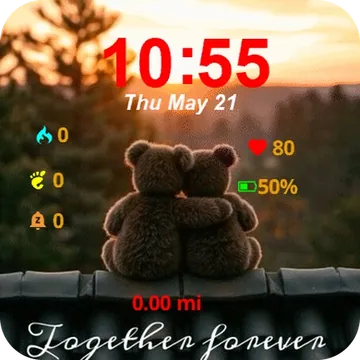 Teddy Bear Sitting Top Roof Garmin watch face preview