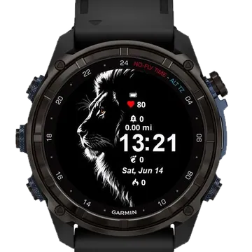 The Black Lion Garmin watch face preview