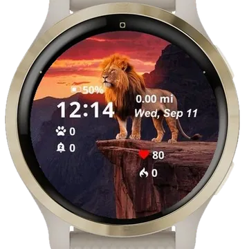The Boss Lion Garmin watch face preview