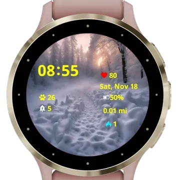 The fighters left Garmin watch face preview