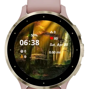 The Forest Garmin watch face preview