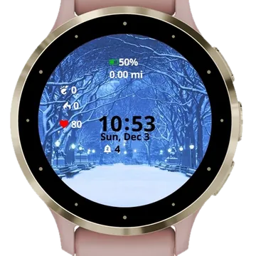 The Frozen City Garmin watch face preview