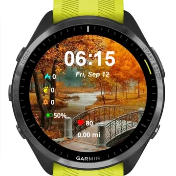 The Golden Silence Garmin watch face preview