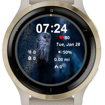 The Night Birds Garmin watch face preview