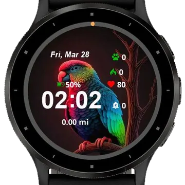 The Rainbow Parrot Garmin watch face preview