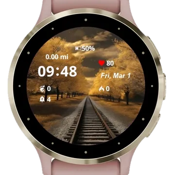 The road of life Garmin watch face preview