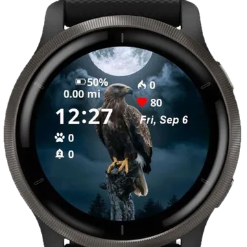 The Vulture Garmin watch face preview